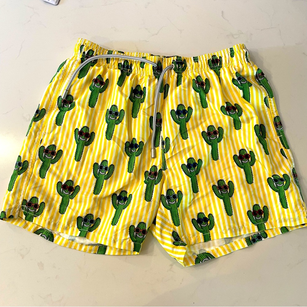MC2 Saint Barth Mens Gustavia Happy Cactus Swim Shorts
